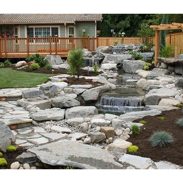 Before and After and Project Photos Landscaping and Tree Removal