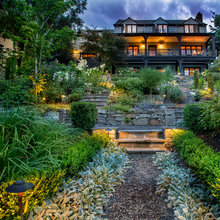Backyard Ideas