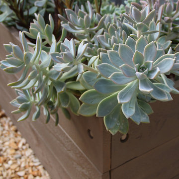 Beach House, Bainbridge Island