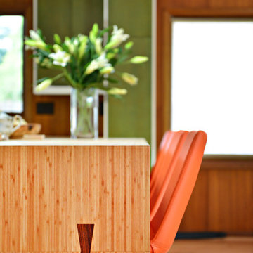 Mid-century remodel