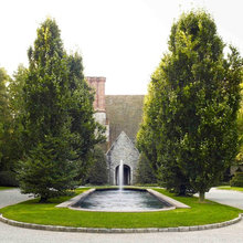 Tree & plant species