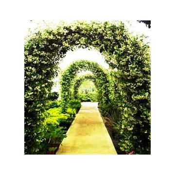 Elements Garden Design (Earth, Water, Fire, Air, Spirit)