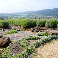 ebekiel landscape