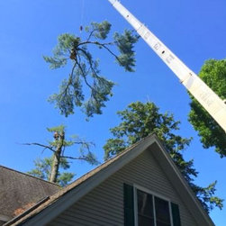 Tree Removal - Outdoor Products