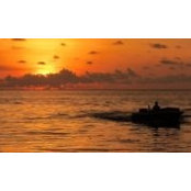 Janel Pratt's photo