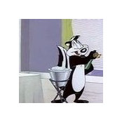 Lynne Halsted's photo