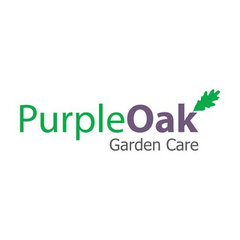 Purple Oak
