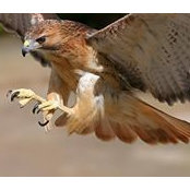 Alex Arab's photo