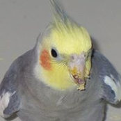 Stacey Laffey's photo