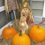 Tammy Sanda's photo