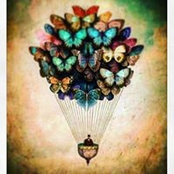 Johny Zio's photo