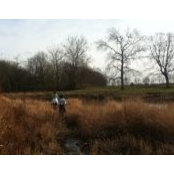Amy Estoye's photo