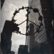 Robin McWilliams's photo