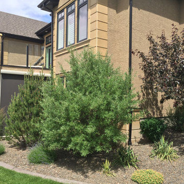 Heritage Pointe #8