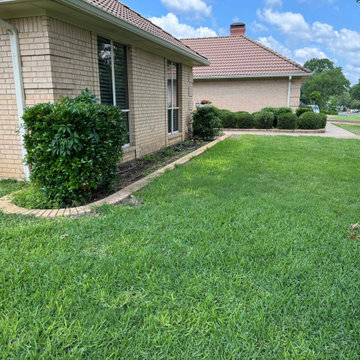 Front Yard Hydroseeding & New Lawn Establishment