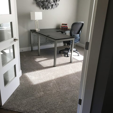 Carpet Selection and Install