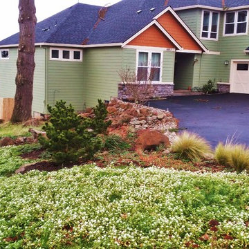 EDGECLIFF Prairie Home Genesis with Ecolawn