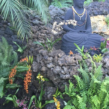 ZEN GARDEN