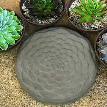 Succulent Stepping Stones DIY Kit
