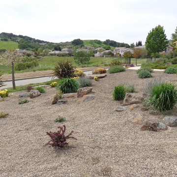 Lawn Replacement/Reduction in Lawn Size