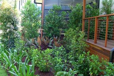 Design ideas for a contemporary garden in Brisbane.