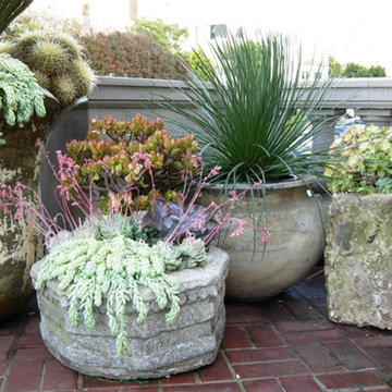 Container Arrangements
