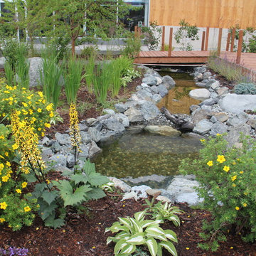 Water Features