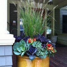 Seasonal Containers
