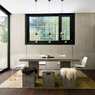 フランクフルトの中サイズのコンテンポラリースタイルのLDKの画像 (グレーの壁、濃色無垢フローリング)