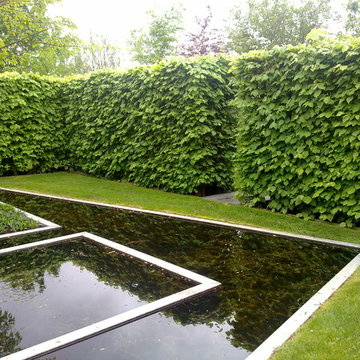 Topiary and Hedge