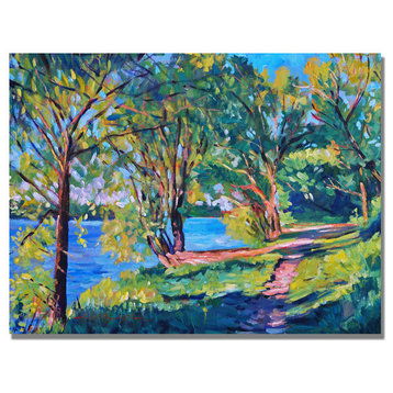 'Summers Lake' Canvas Art by David Lloyd Glover
