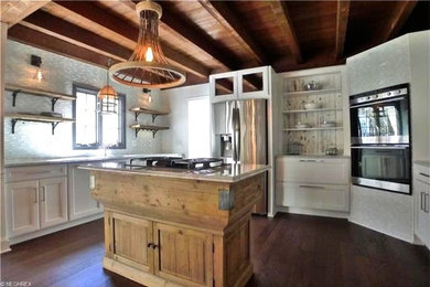 Transitional kitchen photo in Cleveland