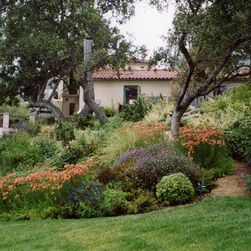 Drought-tolerant Mediterranean