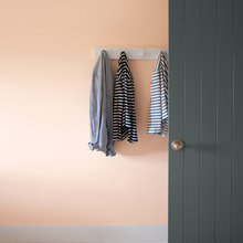 wall color