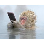 Jaimie Jack's photo