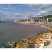 Sofia Garcia's photo