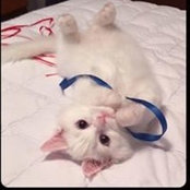Judy Boyer's photo