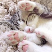 Elisabetta Sabini's photo