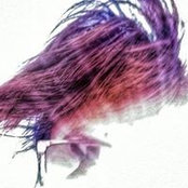 Roselle Goffさんの写真