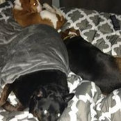 Jolyn Phillips's photo