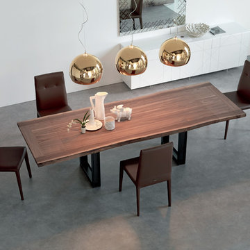 Cattelan