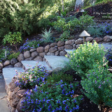 lawn area