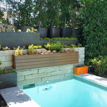 long planters