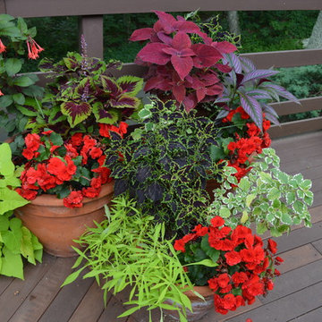 Container Gardens