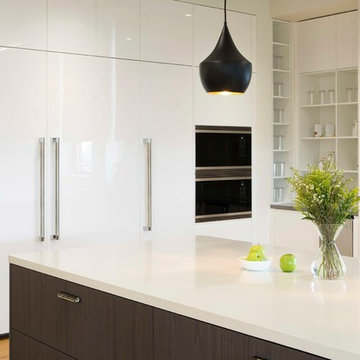 Commercial Cesar Kitchen BrainPop