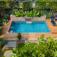 Avant/Après : Une piscine d'eau salée pour toute la famille