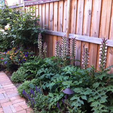 Pet Worth Fragrance Garden