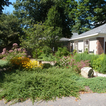 Providence Garden for the Birds