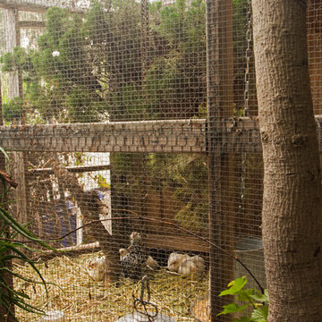My Houzz: A Treehouse-Like Dwelling in Los Angeles