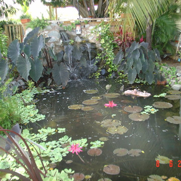 Biological Koi Ponds
